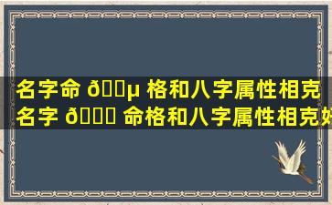 名字命 🌵 格和八字属性相克「名字 🐘 命格和八字属性相克好不好」